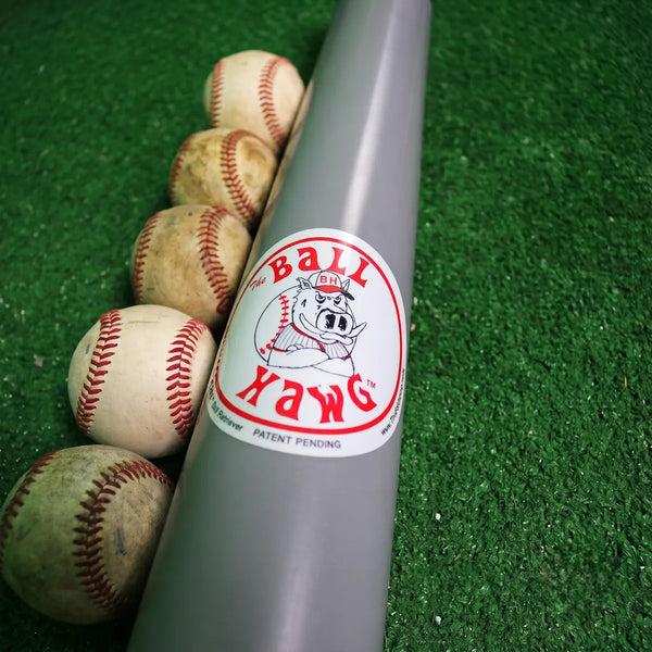 The Ball Hawg Baseball Retriever close-up image next to a few baseballs.