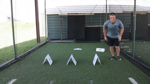 TAP® Stacking Hurdles: Durable & Stackable Agility Training